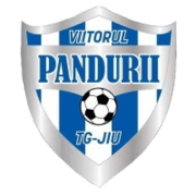 ACS Viiorul Pandurii