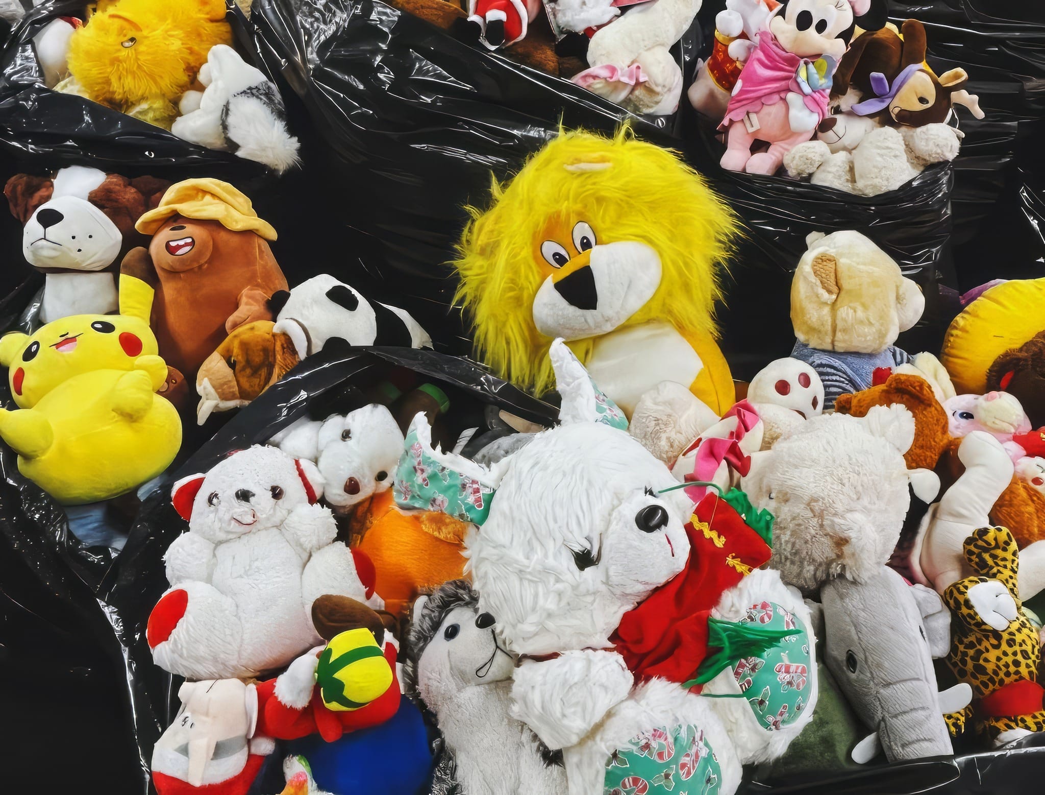 408908175_837432208387871_4363601408622557329_n 408908175_837432208387871_4363601408622557329_n