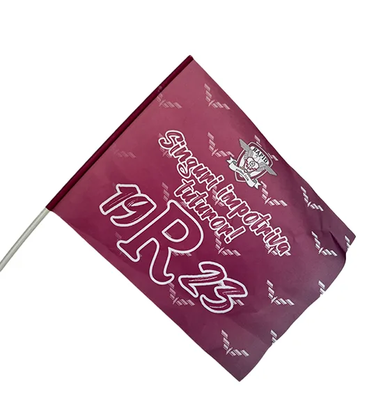 Steag 19R23 48 x 40 cm FC RAPID