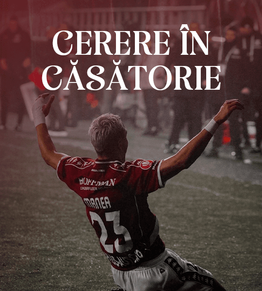 Cerere in casatorie - Poveste alb-visinie