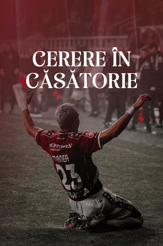 Cerere in casatorie - Poveste alb-visinie